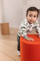 Broek_Grisel_Garden_Topiary_2