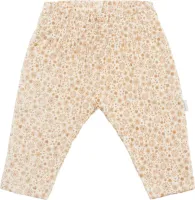 Broek_North_Lakes_Apple_Cinamon