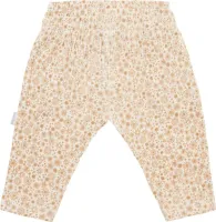 Broek_North_Lakes_Apple_Cinamon_1