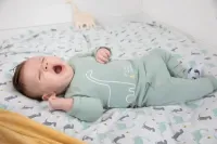 Dinomite_Shirt_cuddle_1