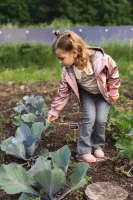 Jeans_Flair_Grey_Jeans_6