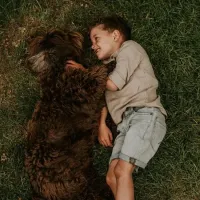 Jeans_Shorts_Grey_jeans_1