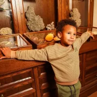 Shirt_Streep_Taupe_6