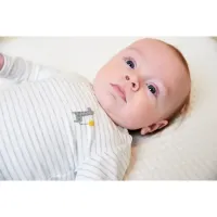Shirt_StripeGiraffe_Unisex_Grijs_2