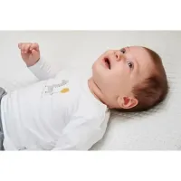 Shirt_Stripe_Giraffe_Unisex_Grijs_2