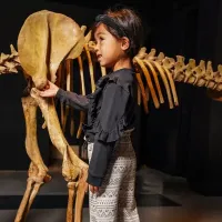 Shirt_met_roezels_zwart_3