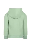 Sweater_Hoody_Faded_Green_1