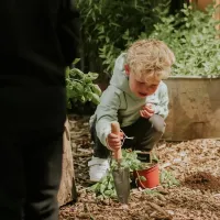 Sweater_Hoody_Faded_Green_2