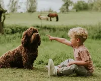 T_Shirt_Dusty_Pink_3