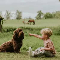 T_Shirt_en_Ruit_Broek_Regulair_Sand_5
