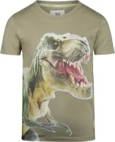 T_shirt_Dino_Faded_Green