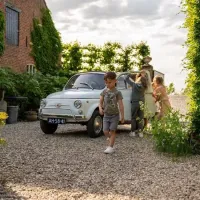 T_shirt_Dino_Faded_Green_3