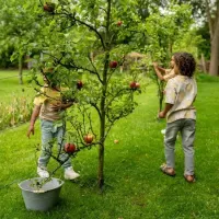 T_shirt_Loose_Fit_Beige_2