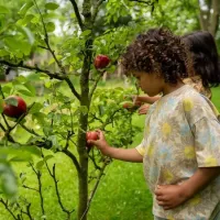 T_shirt_Loose_Fit_Beige_3