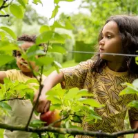 T_shirt_Loose_Fit__Yellow_2