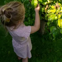 _Jurk_Multi_Colour__3