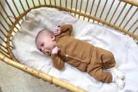 _Naura_Rib_Chipmunk_2