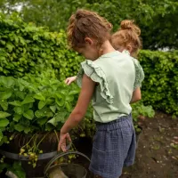 _T_shirt_Light_Faded_Green_2