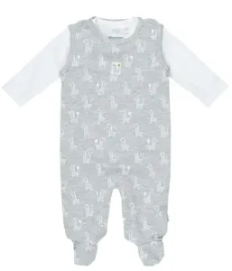 BoxpakjeGiraffe_unisex_Grija_Melee