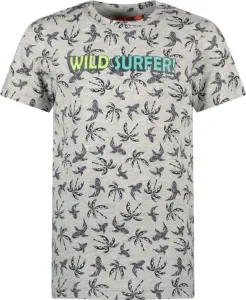 Tygo___Vito_T_shirt_Wild_Surfer_Grey